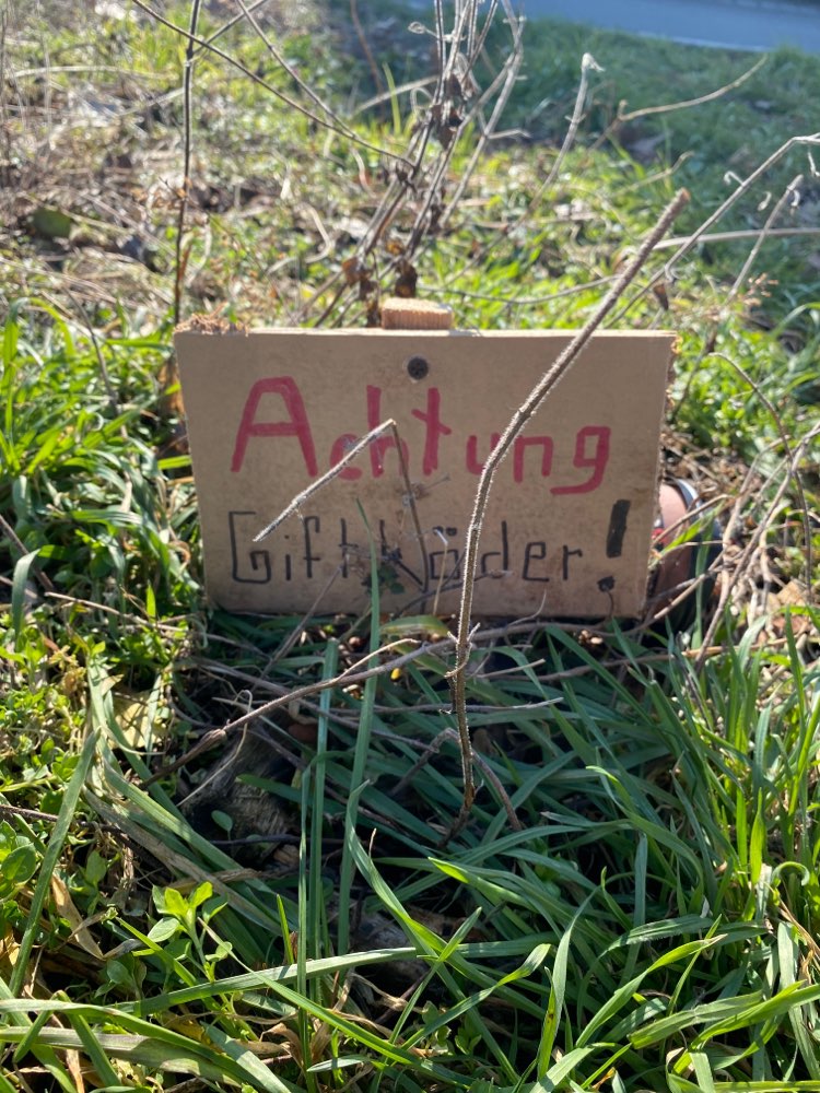 Giftköder-Evtl. Giftköder-Profilbild