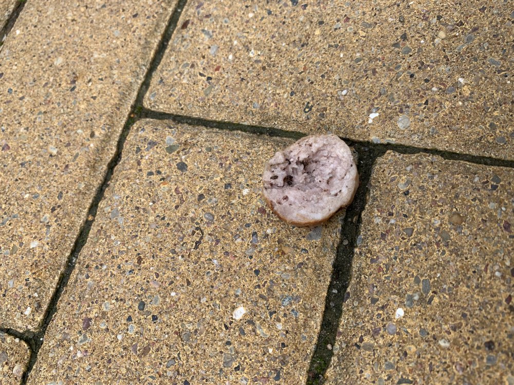 Giftköder-Köder-Profilbild