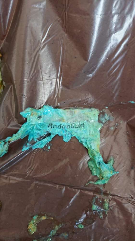 Giftköder-Giftköder (Rodentizid)-Profilbild