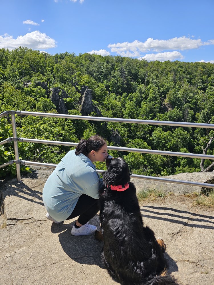 Hundetreffen-Berner Sennenhund oder Großhund-Treffen-Profilbild