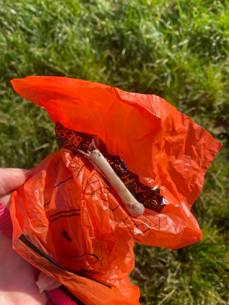 Giftköder-Knochen-Profilbild