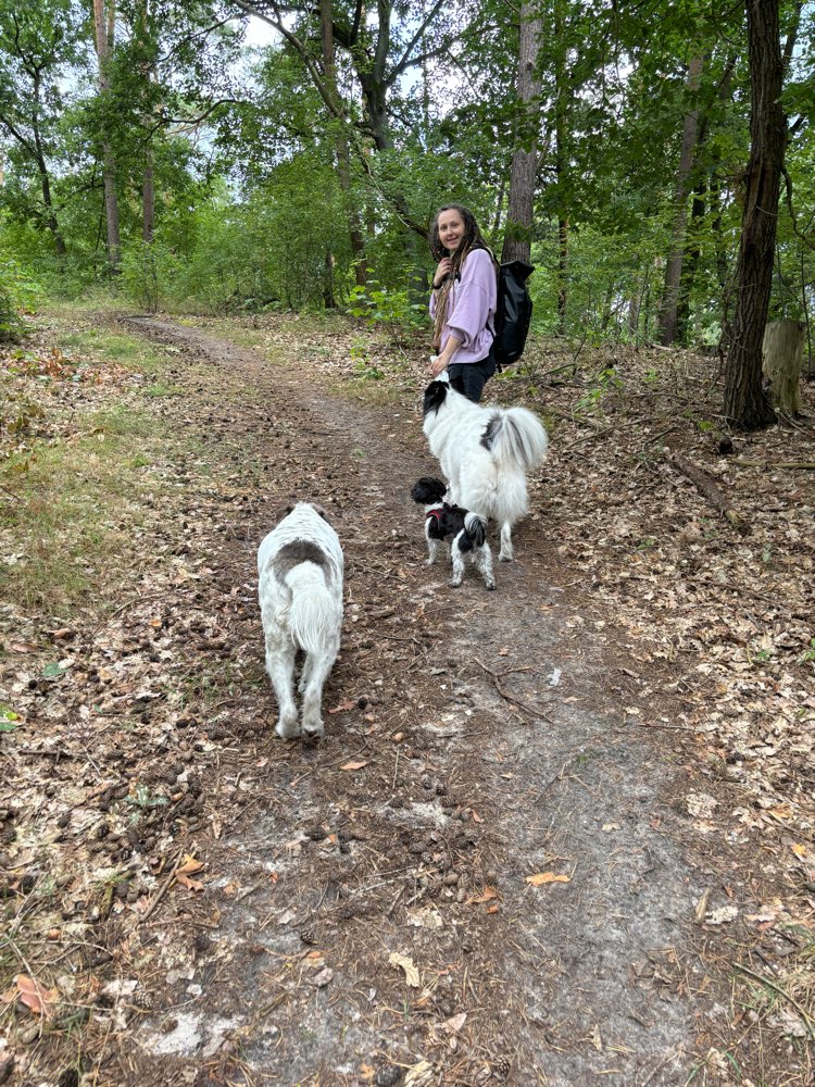 Hundetreffen-Unternehmungen für Mensch & Hund-Profilbild