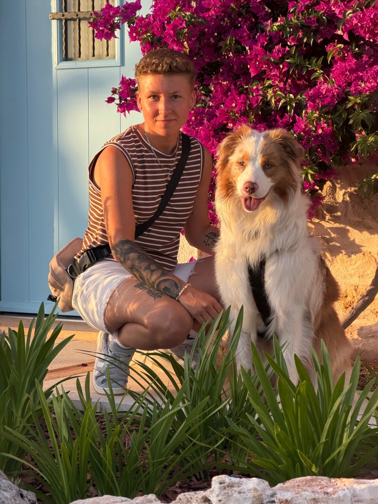 Hundetreffen-Sozialwalks/Training und Spielen-Profilbild