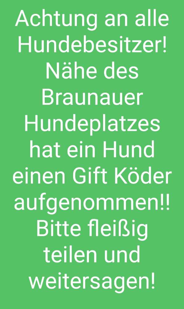 Giftköder-Giftköder-Profilbild