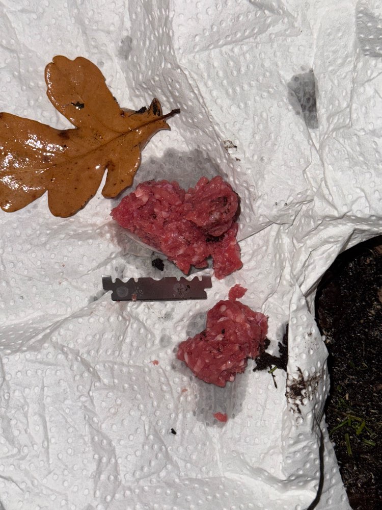 Giftköder-Holmer Sandberge: Hack mit Rasierklingen-Profilbild