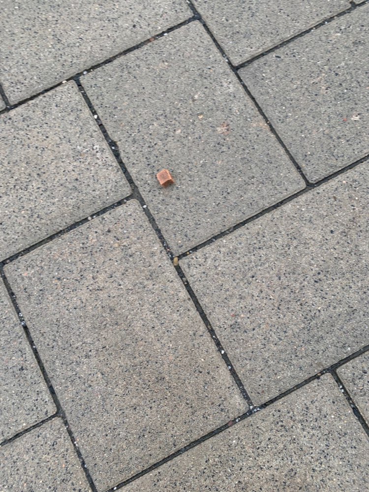 Giftköder-Evtl. Giftköder-Profilbild