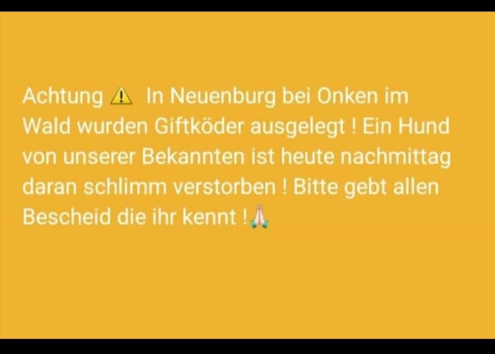 Giftköder-Giftköder-Profilbild