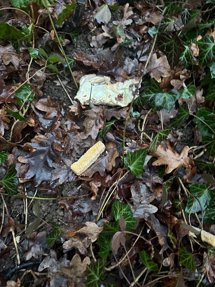 Giftköder-Giftköder-Profilbild