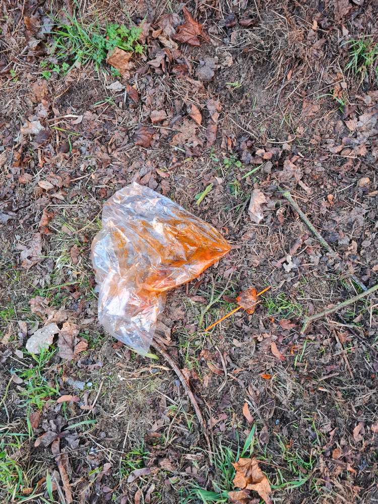 Giftköder-Potenzielle Gefahr durch Fleischspieße-Profilbild