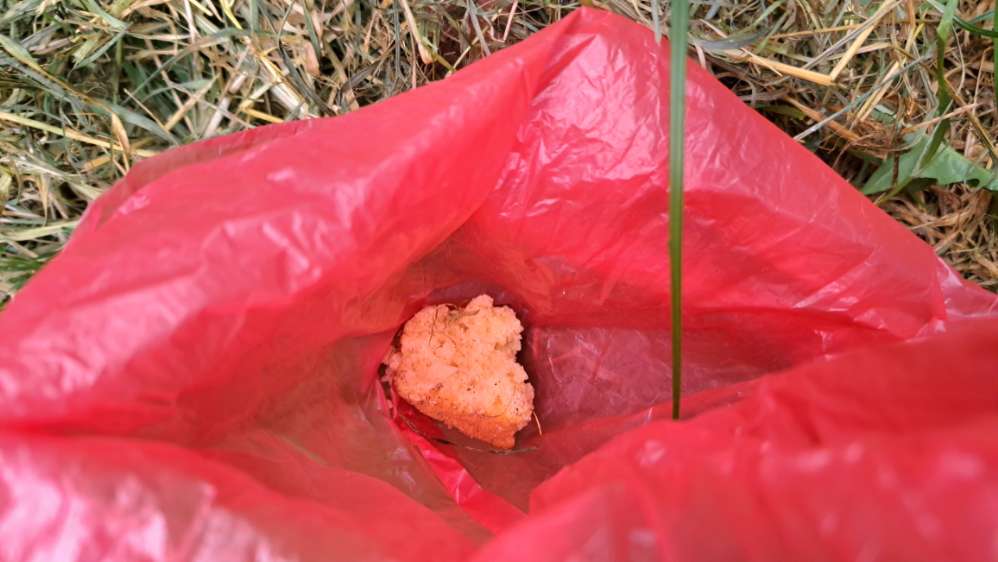 Giftköder-Giftköder-Profilbild