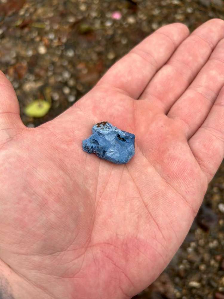 Giftköder-Giftköder-Profilbild