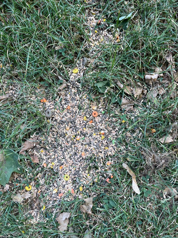 Giftköder-Futter o.ä.-Profilbild