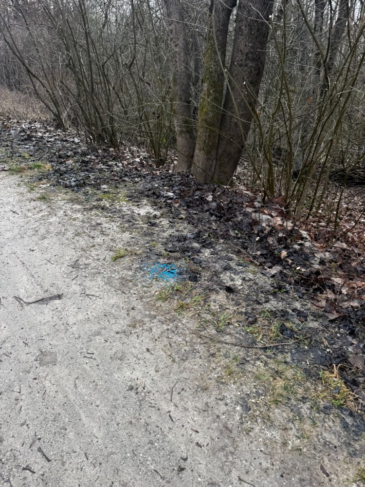 Giftköder-Blaue Kügelchen-Profilbild