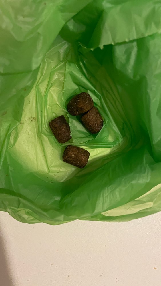 Giftköder-Giftköder-Profilbild