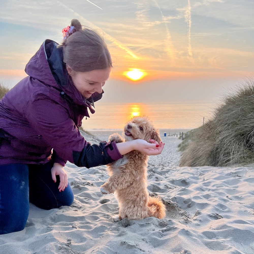 Hundetreffen-Gassibegleitung & Spielbuddy-Profilbild