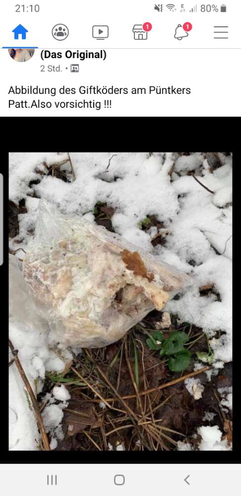 Giftköder-Gift!-Profilbild