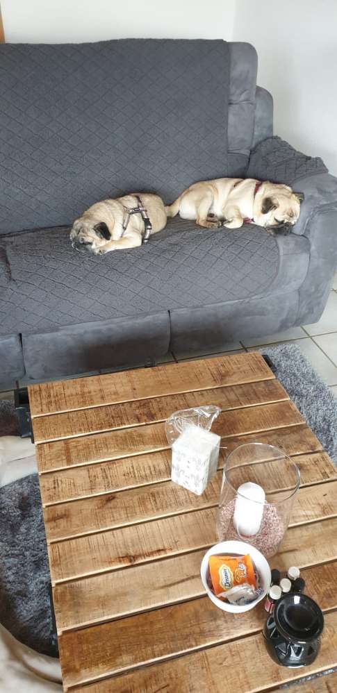 Giftköder-Giftkoeder in 56812 Dohr/RLP-Profilbild