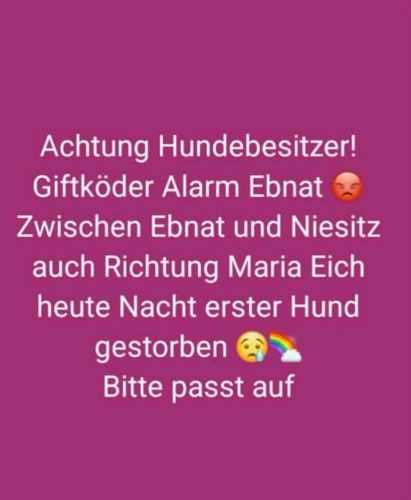 Giftköder-Giftköder-Profilbild