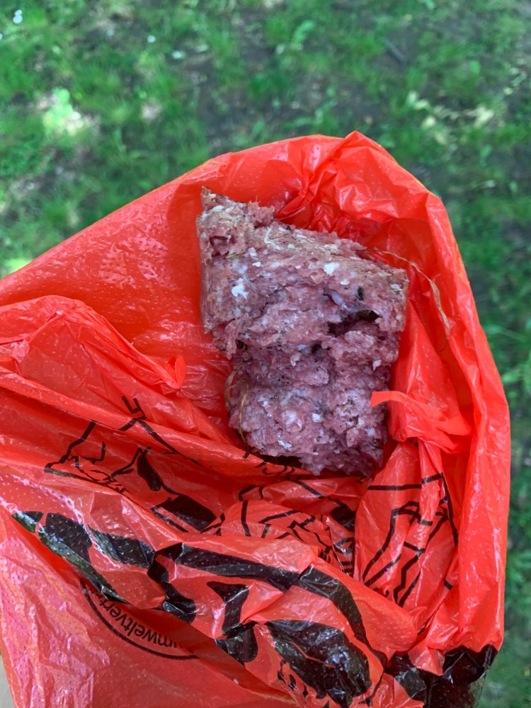 Giftköder-Giftköder?!-Profilbild