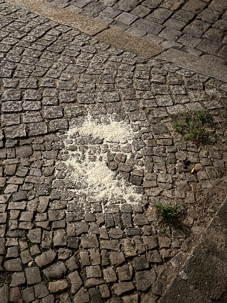 Giftköder-Weißes Pulver-Profilbild