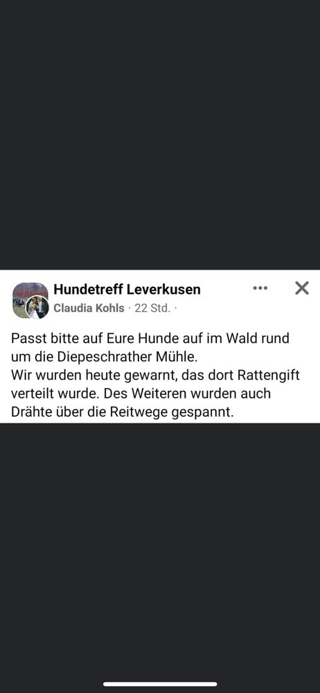 Giftköder-Rattengift-Profilbild