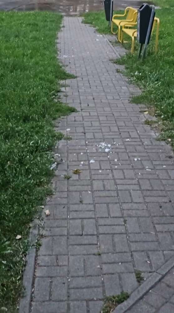 Giftköder-Scharfe Gegenstände-Profilbild