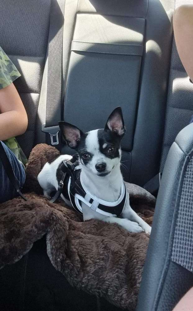 Suchmeldung-Apache-Profilbild