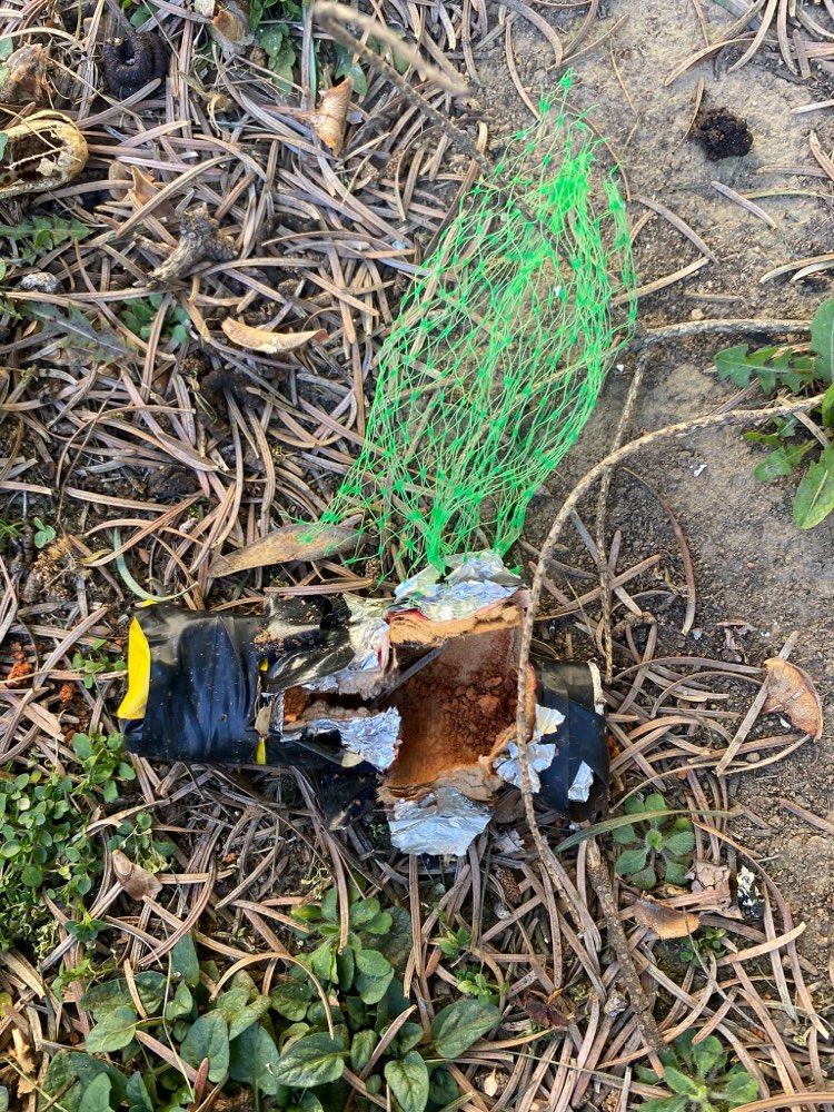 Giftköder-Giftköder-Profilbild