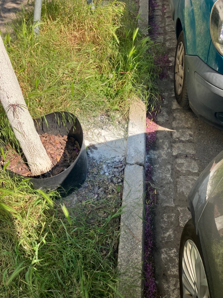 Giftköder-Weißes Pulver an Baum und davon viel!-Profilbild