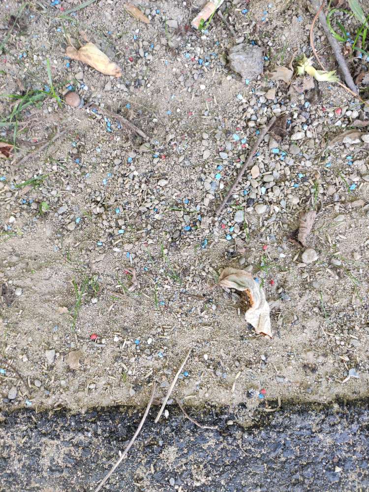 Giftköder-Verdacht auf Schneckenkorn-Profilbild