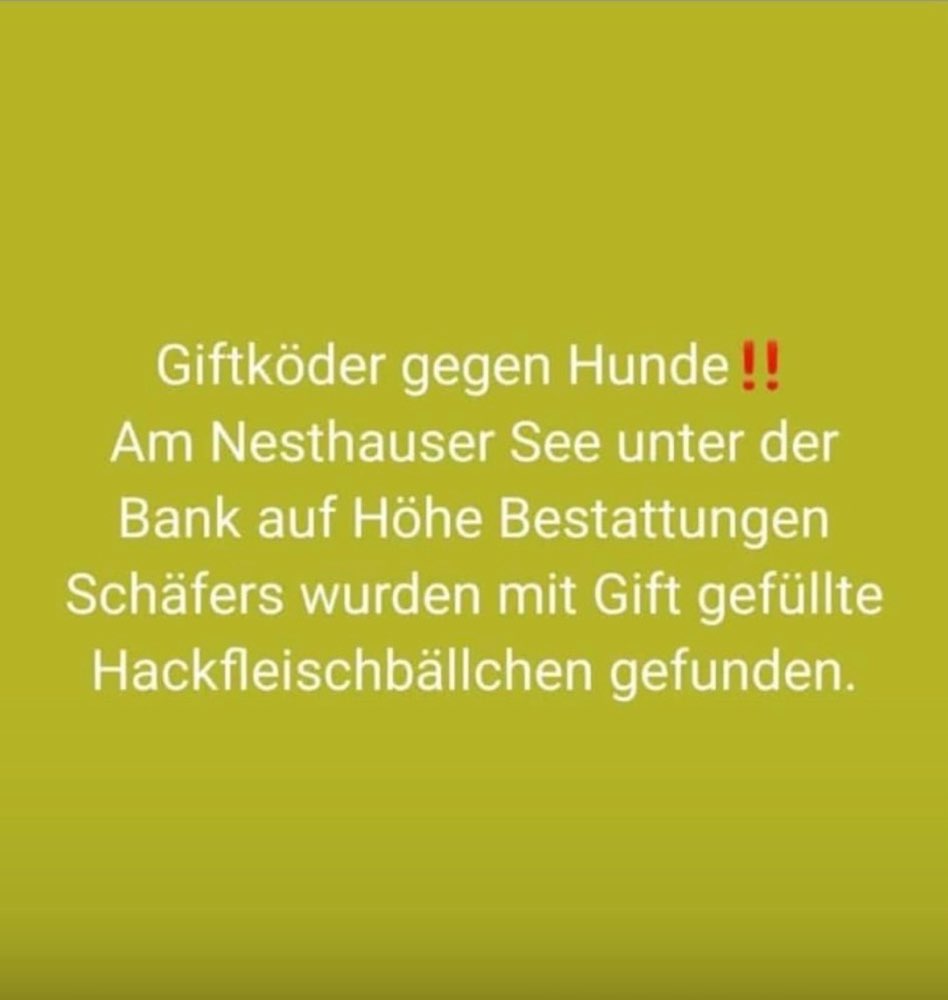 Giftköder-Giftköder-Profilbild