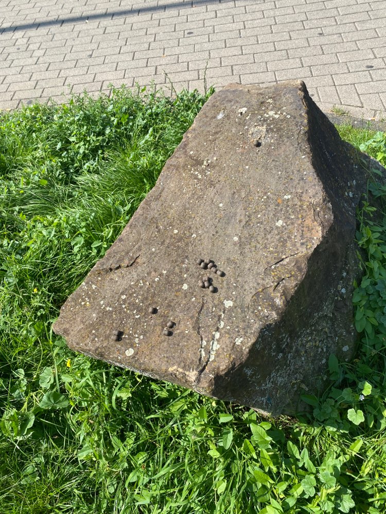 Giftköder-Giftköder-Profilbild