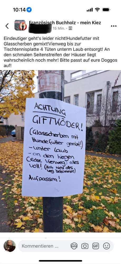 Giftköder-Futter mit Glasscherben unter Laub-Profilbild