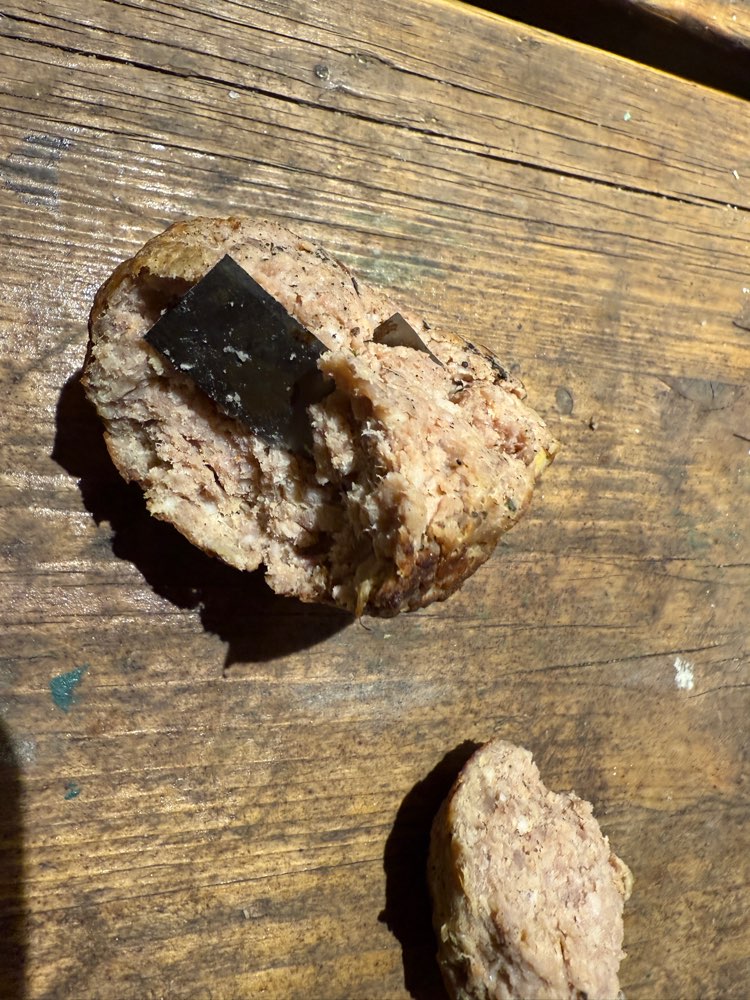 Giftköder-Giftköder-Profilbild