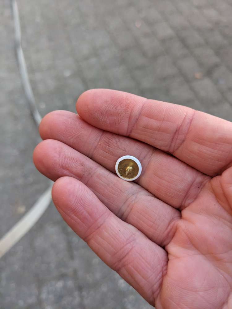 Giftköder-Reißzwecken im grünstreifen-Profilbild