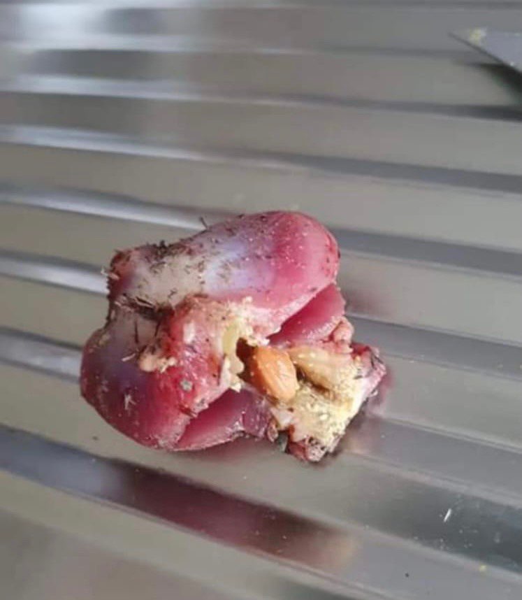 Giftköder-Giftköder-Profilbild