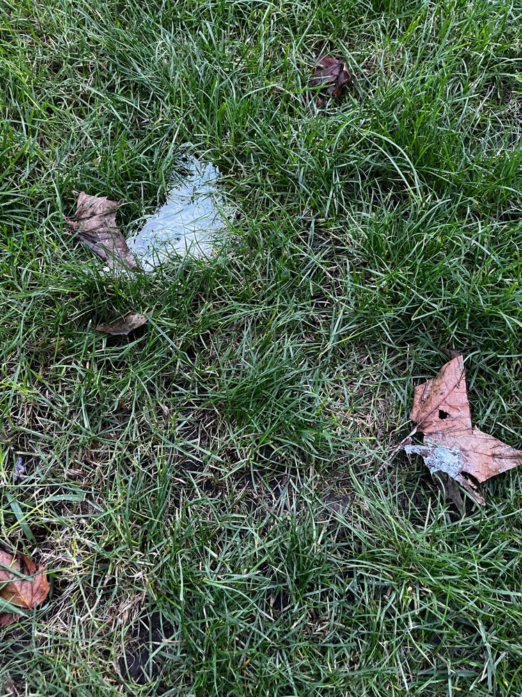 Giftköder-Evtl.Giftköder Joghurt-Profilbild