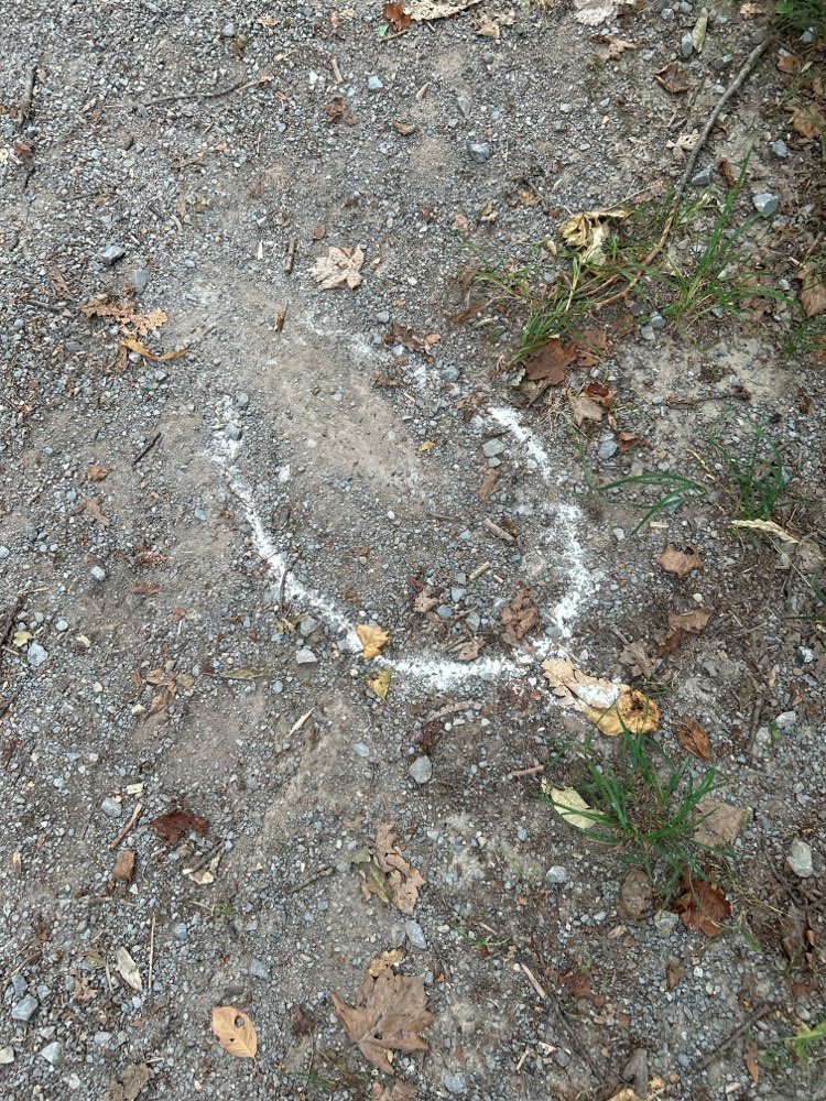 Giftköder-Weißes Pulver-Profilbild