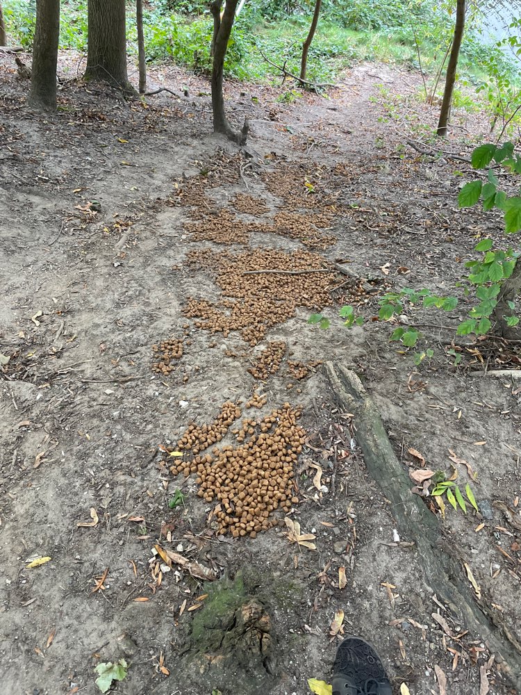 Giftköder-Trockenfutter in großen Mengen-Profilbild