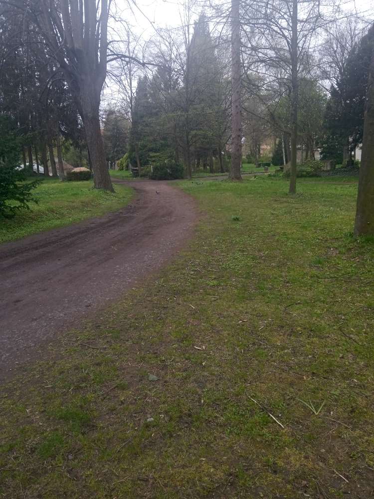 Giftköder-Ausgelegtes Futter-Profilbild