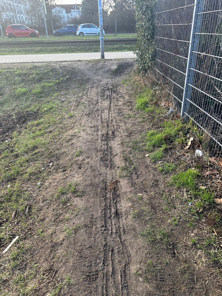 Giftköder-Vermutlich Giftköder-Profilbild