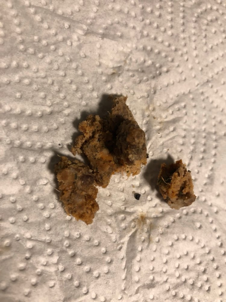 Giftköder-Verdächtig aussehendes Fleischstück-Profilbild