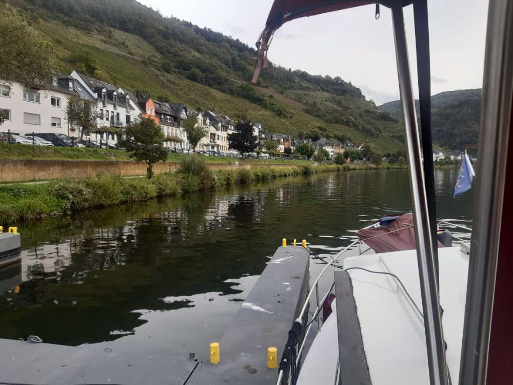 Giftköder-Evtl Giftköder-Profilbild