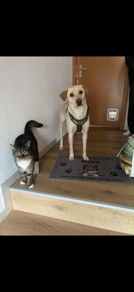 Suchmeldung-Alma-Profilbild