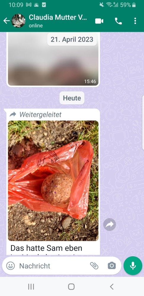 Giftköder-Hackfleischball mit Rattengift gefüllt-Profilbild