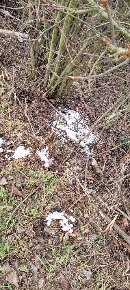 Giftköder-Weißes Pulver-Profilbild