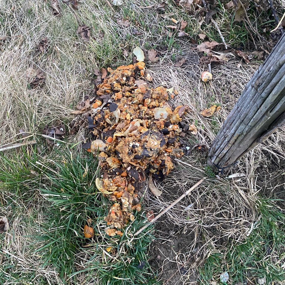 Giftköder-Biomüll entsorgt-Profilbild