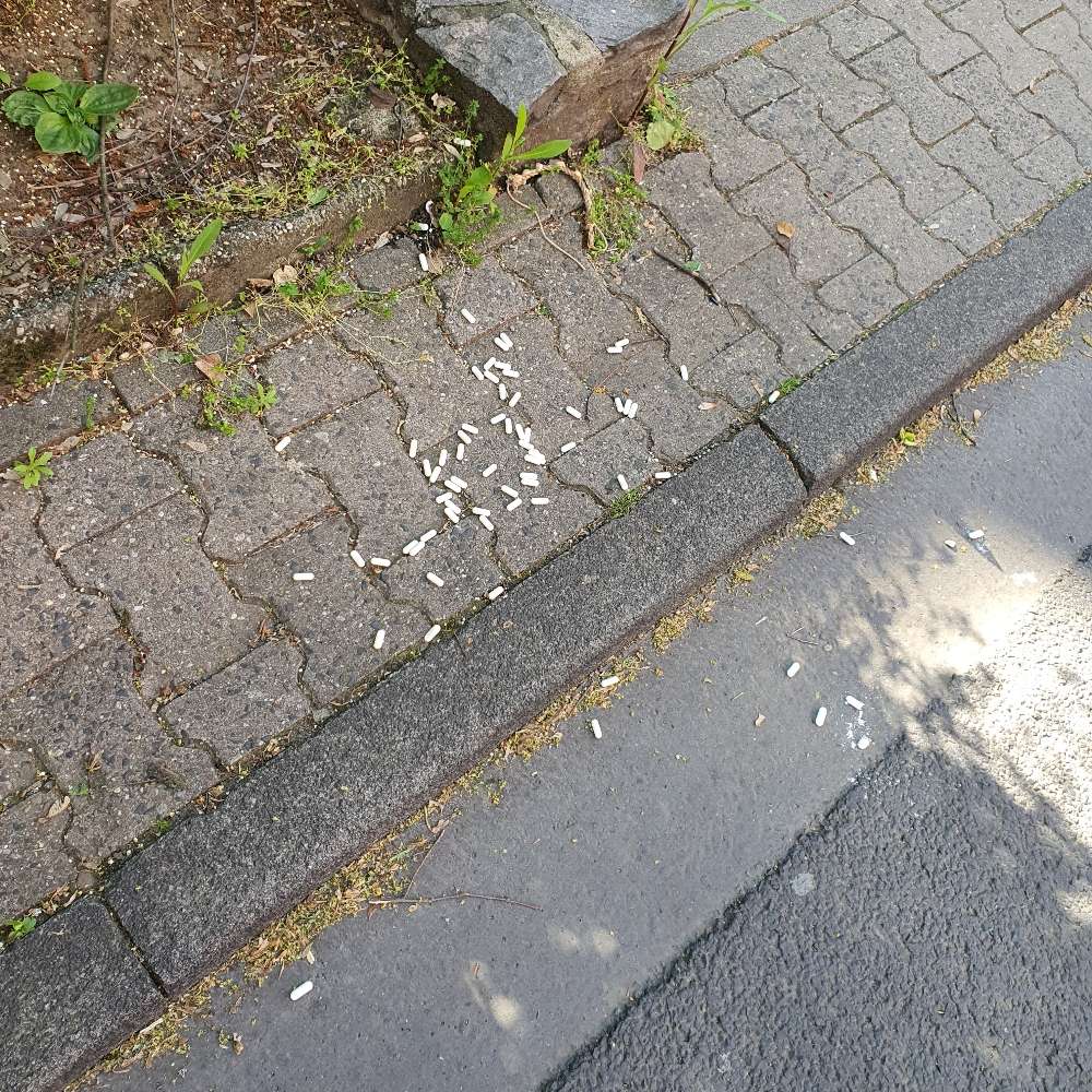 Giftköder-Ausgelegte Tabletten-Profilbild