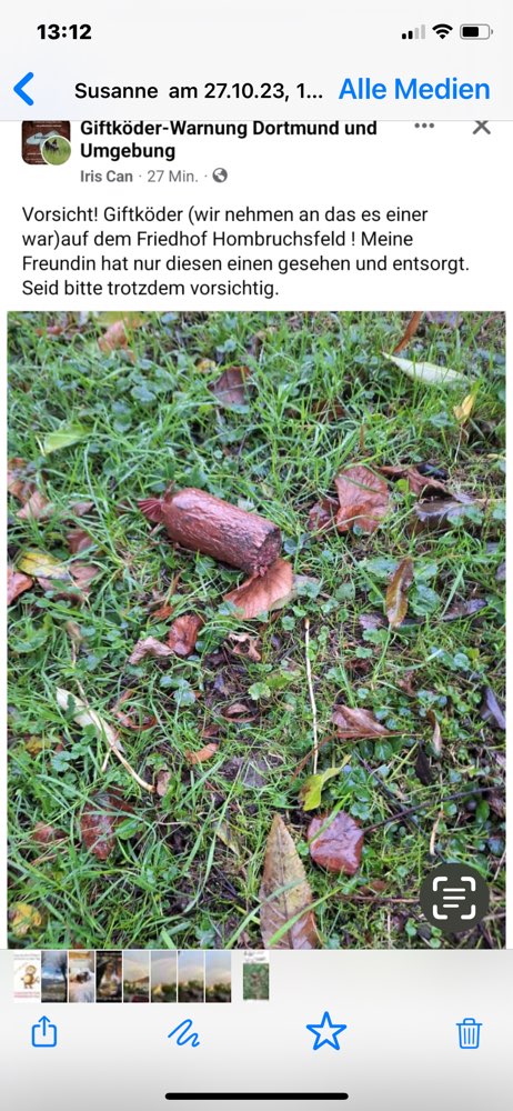 Giftköder-Wahrscheinlich Giftköder-Profilbild