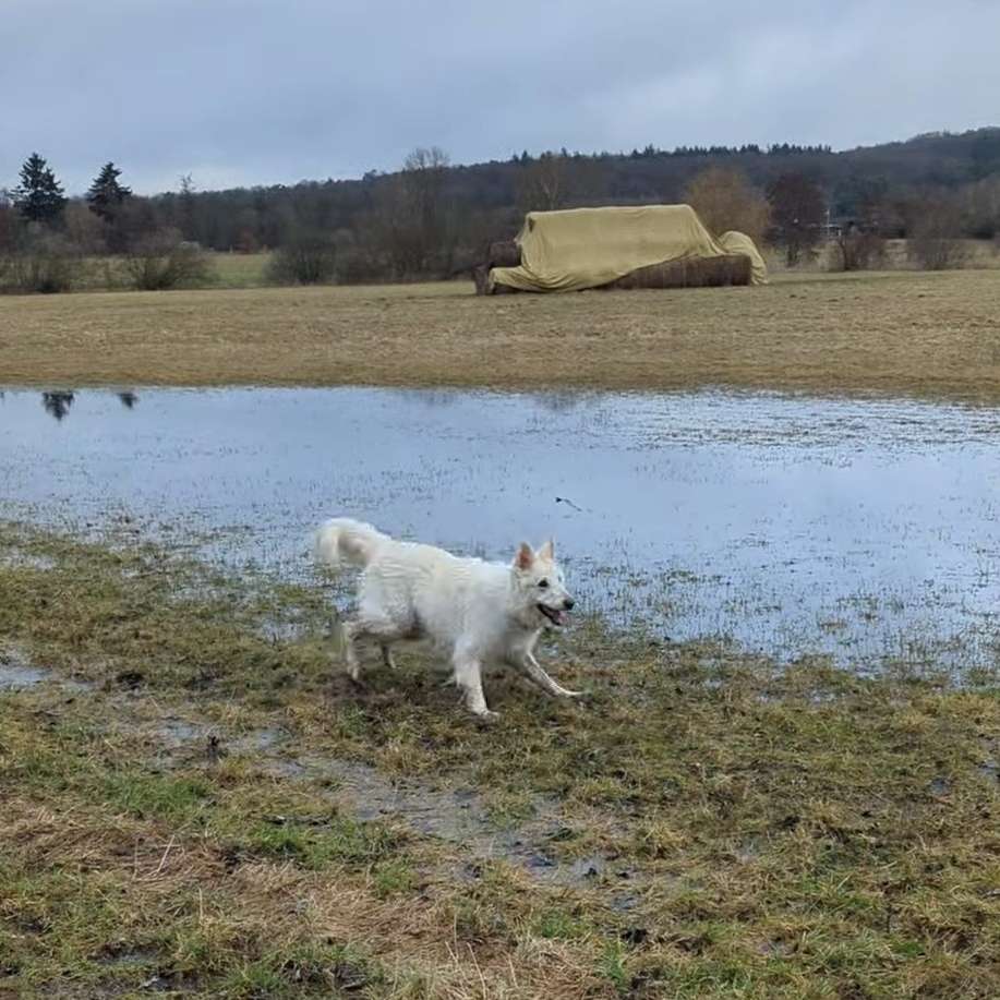 146.Video Wettbewerb Banner